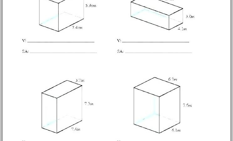 8th Grade Volume Worksheet