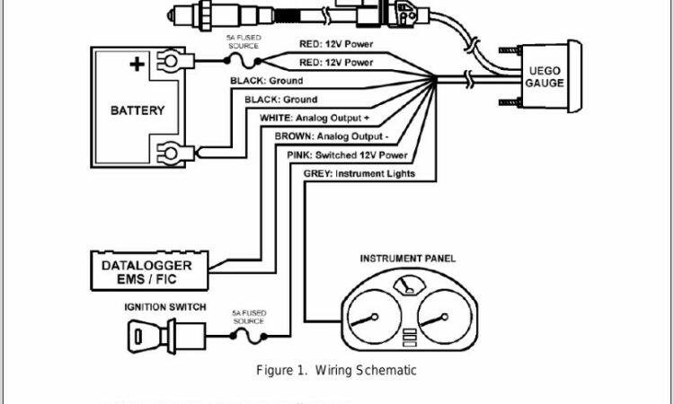 Aem X Series Wideband Wiring Diagram