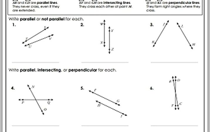 Algebra Worksheet And Answer Key