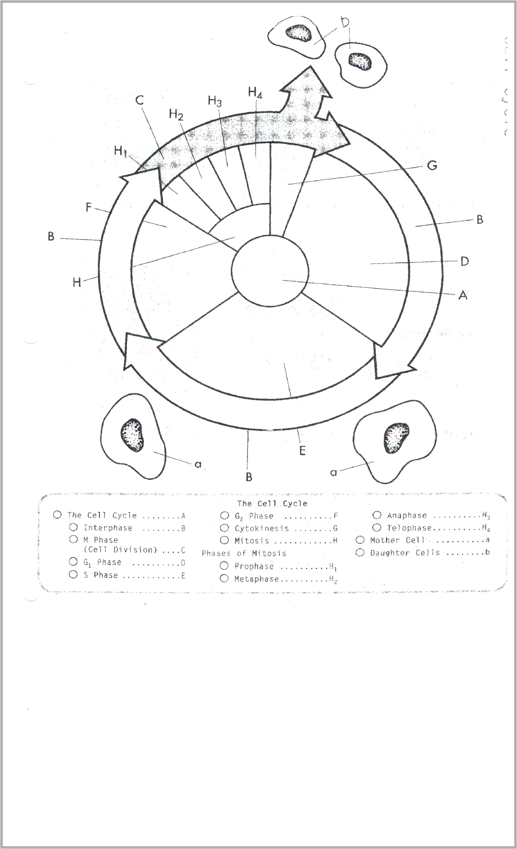 Analogue And Digital Time Worksheet Ks2