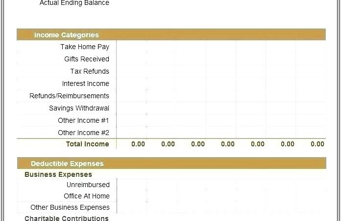 Annual Budget Worksheet Non Profit