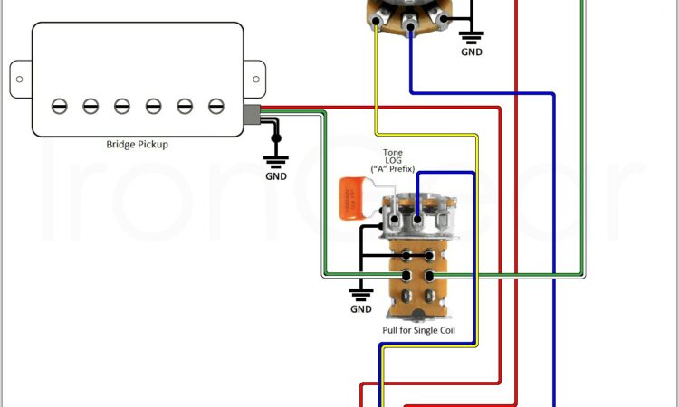 Basic Electric Guitar Wiring Diagram