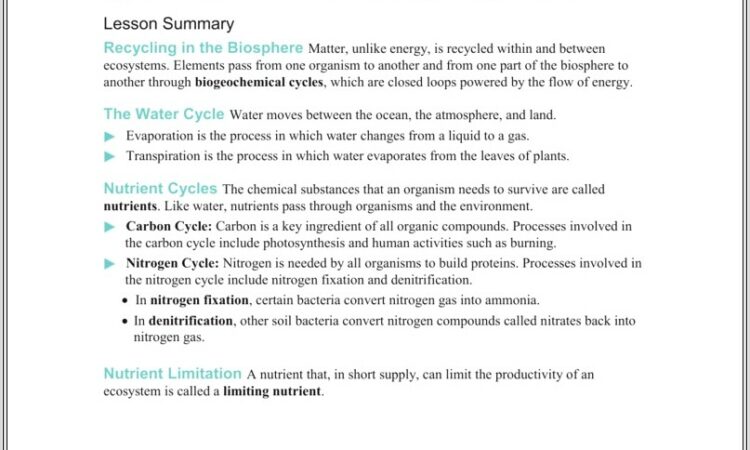 Biogeochemical Cycle Worksheet Pdf