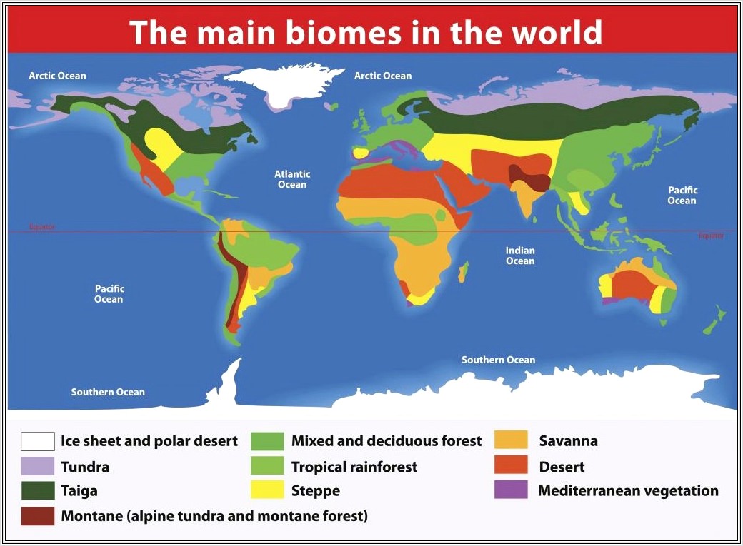 Biome Map Worksheet Answers