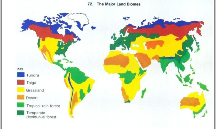 Biome Map Worksheet Key