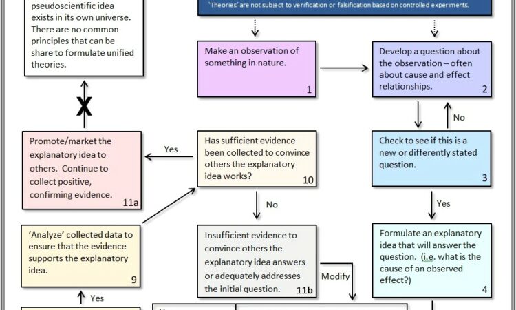 Brainpop Scientific Method Worksheet