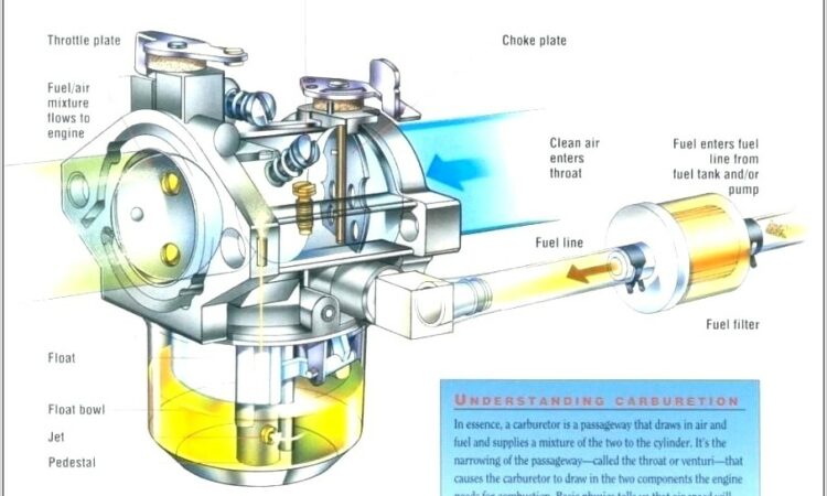 Briggs And Stratton Fuel Pump Hose Diagram