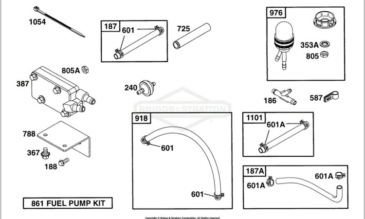 Briggs Fuel Pump Diagram