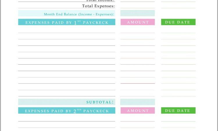 Budget Debt Reduction Worksheet