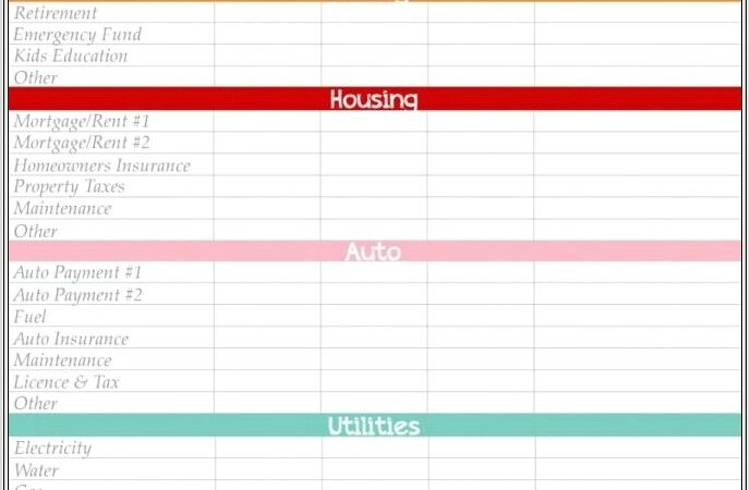 Budget Worksheet For Single Person