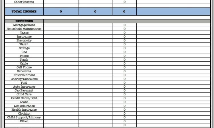 Budget Worksheet Microsoft Office