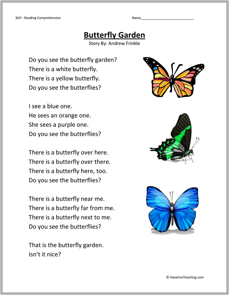 Butterfly Worksheet Second Grade