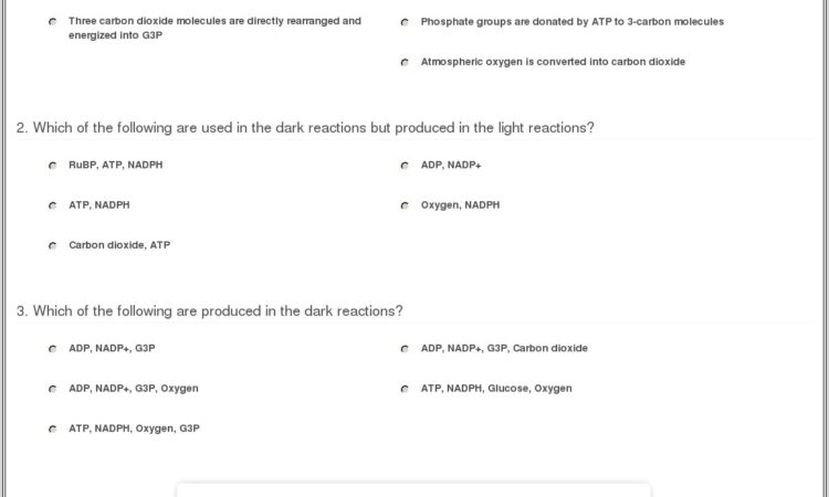 Calvin Cycle Worksheet Photosynthesis