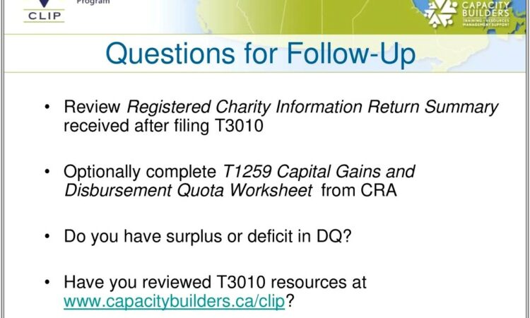 Capital Gains And Disbursement Quota Worksheet