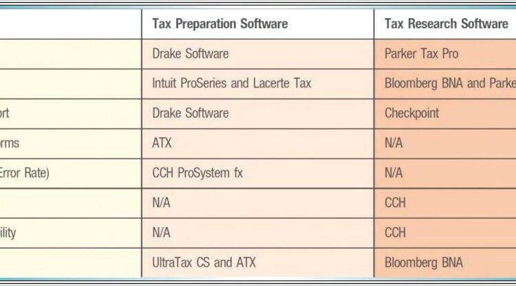 Capital Gains Carryover Worksheet