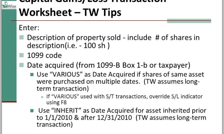 Capital Gains Worksheet For Shares