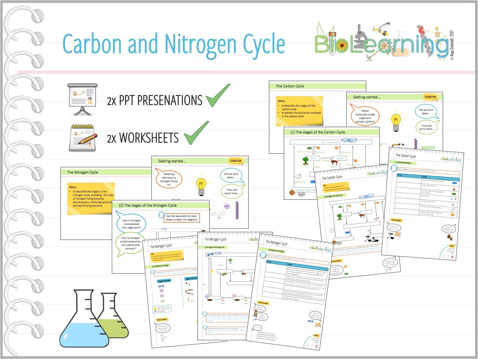 Carbon Cycle Worksheet Elementary