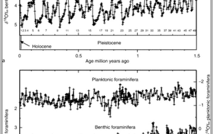 Carbon Cycle Worksheet Grade 7