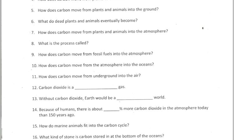 Carbon Cycle Worksheet High School Answers