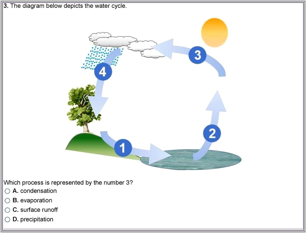 Carbon Cycle Worksheet High School