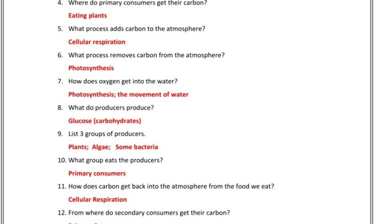 Carbon Cycle Worksheet Key