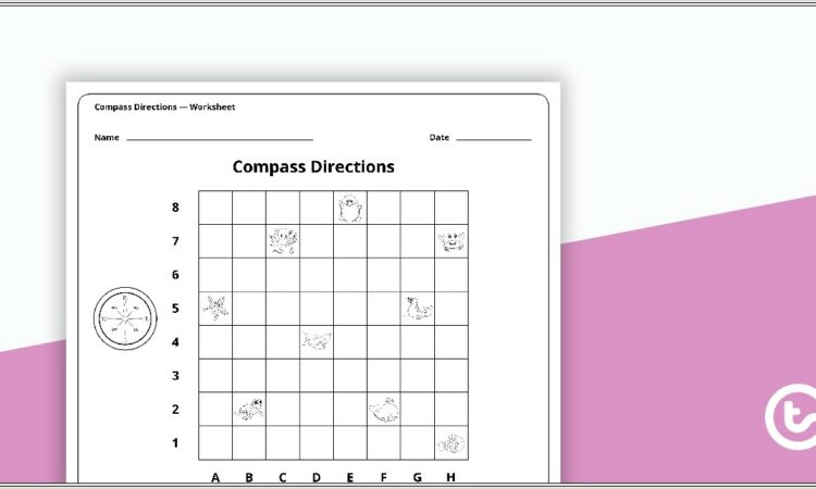 Cardinal Directions Worksheet Teachers Pay Teachers