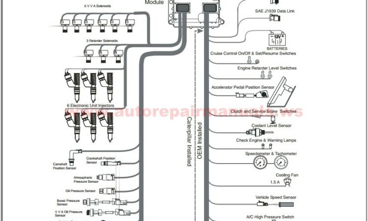 Cat C12 Serpentine Belt Diagram