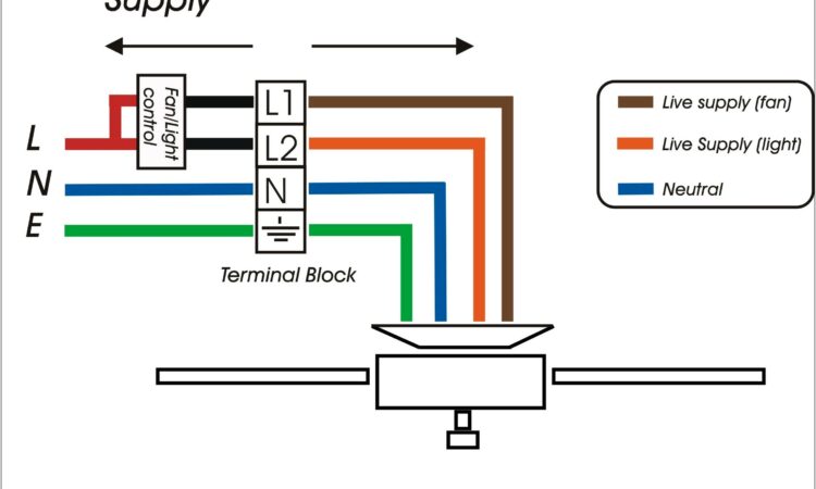 Ceiling Fan And Light Wiring Diagram