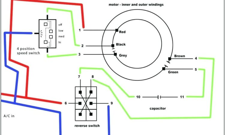 Ceiling Fan Wiring Diagram