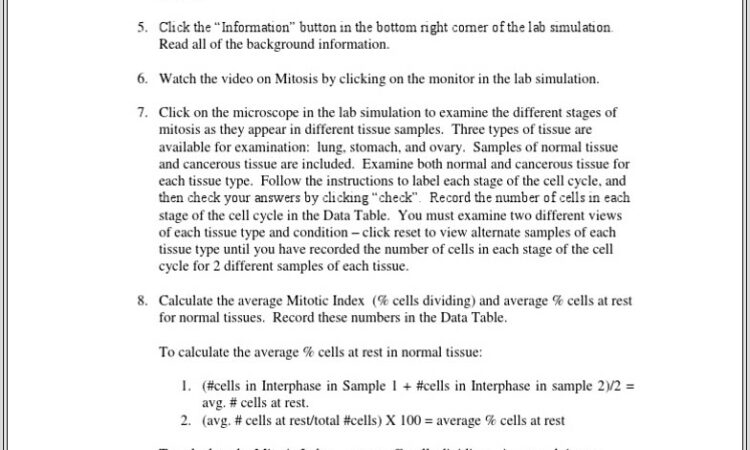 Cell Cycle Labeling Worksheet Questions