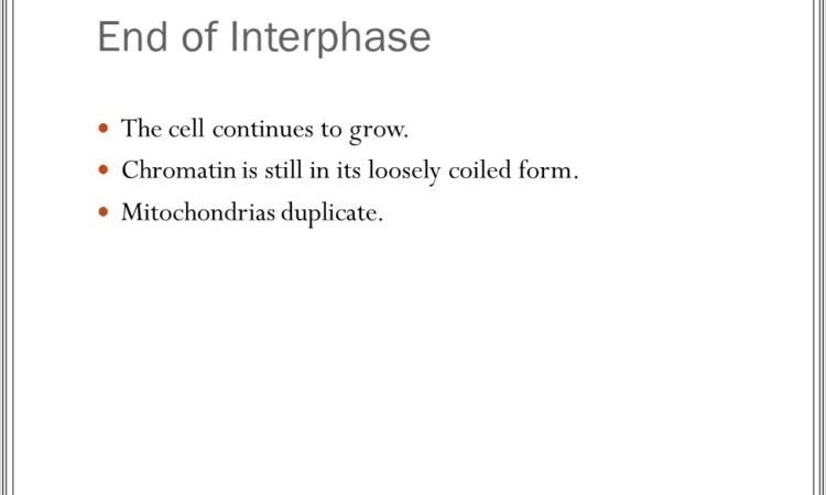 Cell Cycle Notes Worksheet