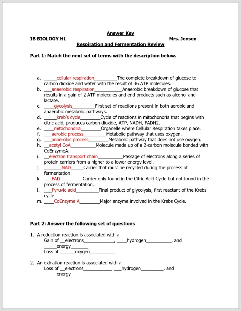 Cell Cycle Questions Worksheet