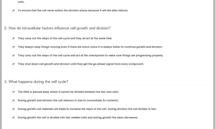 Cell Cycle Regulation Worksheet Answers