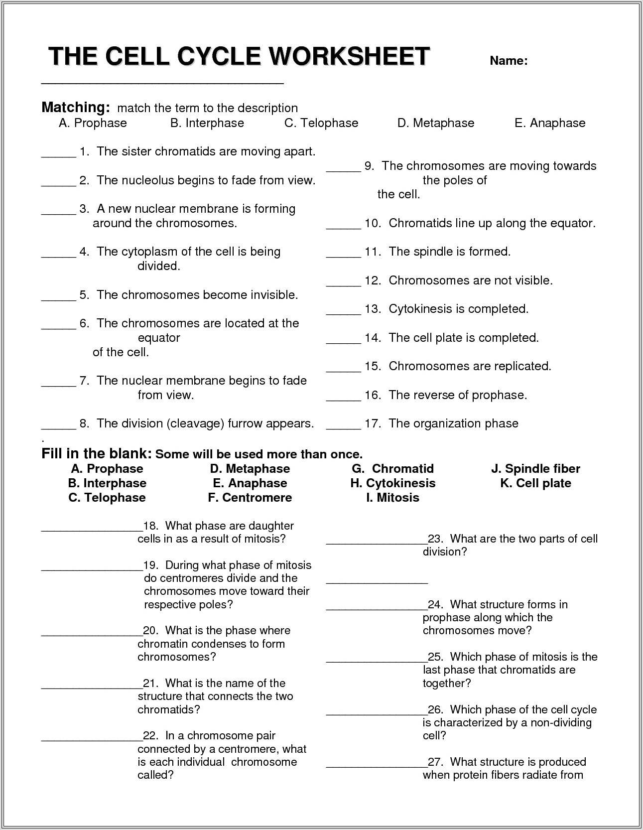Cell Cycle Worksheet Doc
