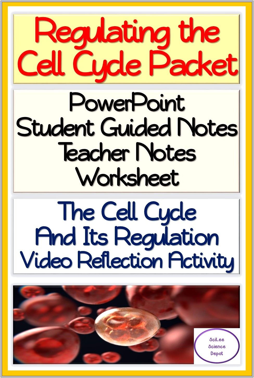 Cell Cycle Worksheet High School