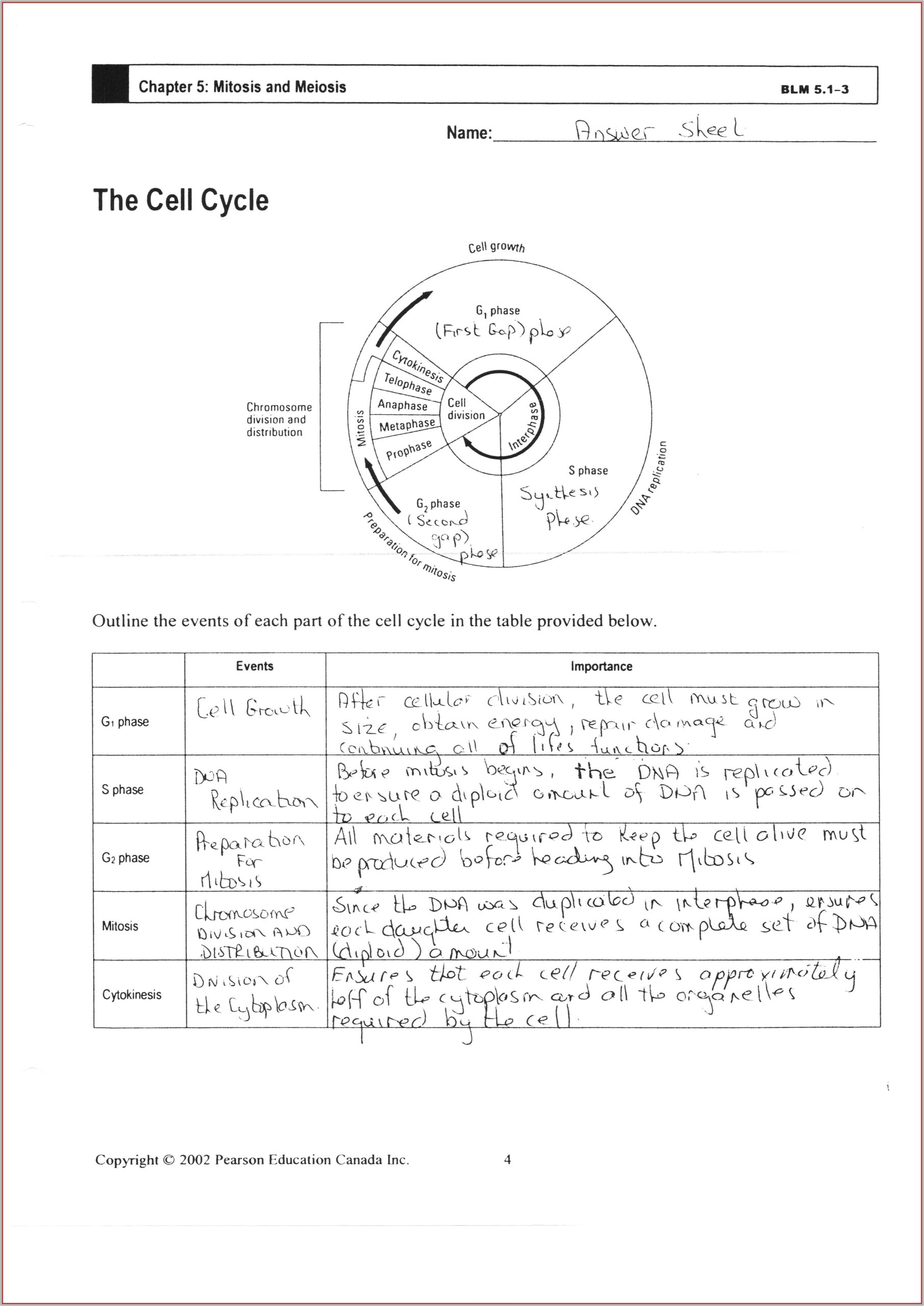 Cell Cycle Worksheet Review