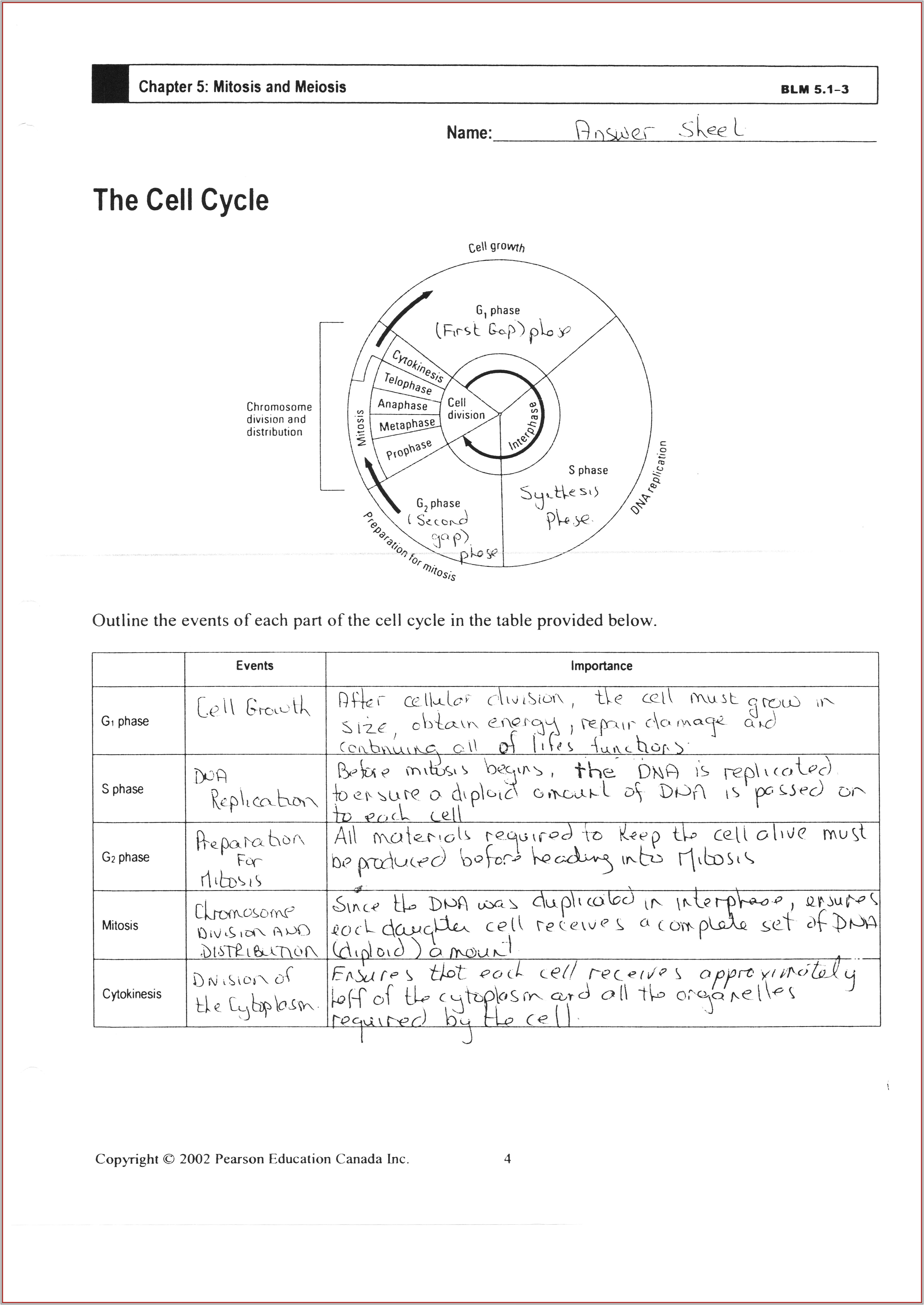 Cell Cycle Worksheet Review