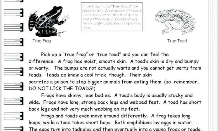 Character Traits Worksheet For Grade 1