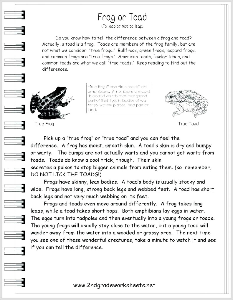 Character Traits Worksheet For Grade 1