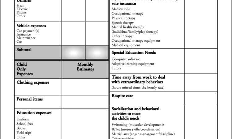 Child Care Budget Worksheet