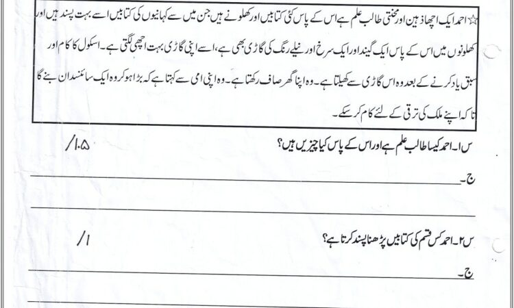 City School Urdu Worksheet