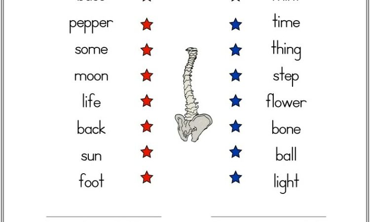 Compound Words Matching Type