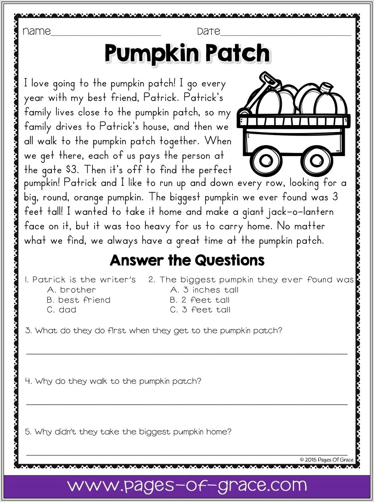 Comprehension Passages And Questions For 2nd Grade