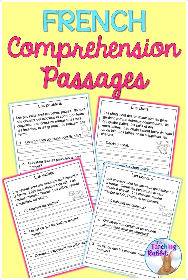 Comprehension Passages In French