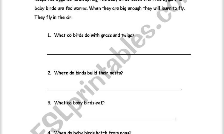 Comprehension Passages With Questions For Grade 1