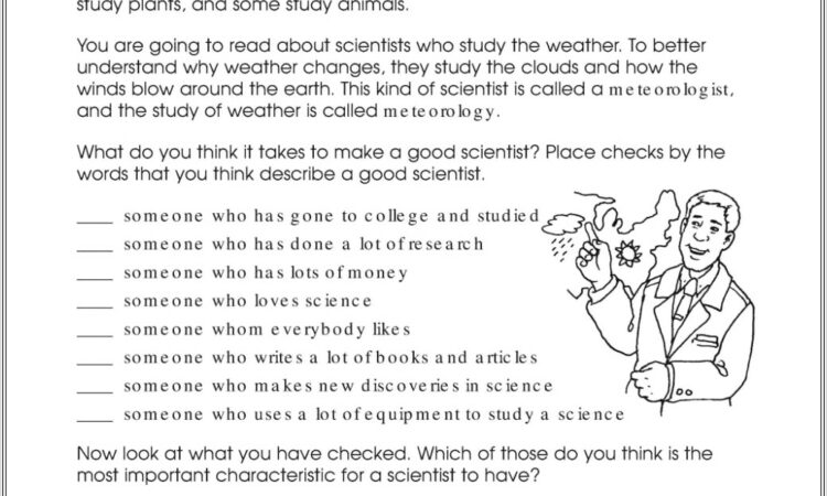 Comprehension Worksheet 3rd Grade