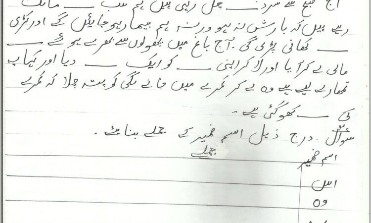 Comprehension Worksheets In Urdu