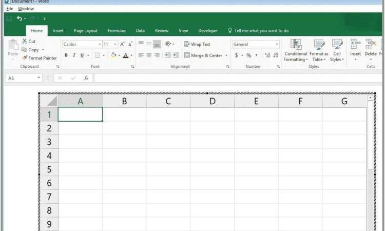 Copy Excel Worksheet Into Word Document