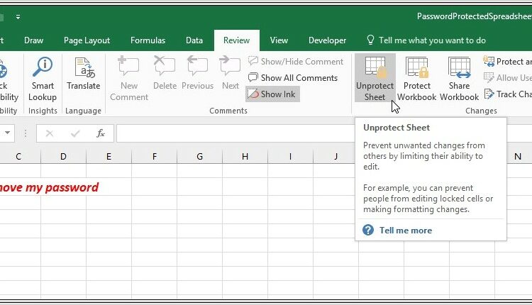 Copy Excel Worksheet Without Protection