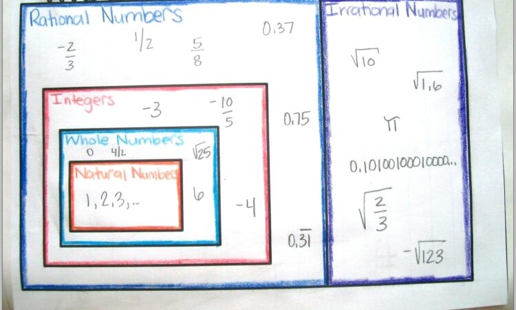 Counting Whole Numbers Worksheet